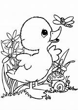 Free & Easy To Print Duck Coloring Pages  Tulamama sketch template