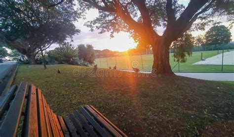 View from a Park Bench of a Amazing Sunset Stock Photo - Image of nature, calm: 188646684