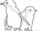 Adelie Penguin Coloring Page At GetDrawings  Free Download sketch template