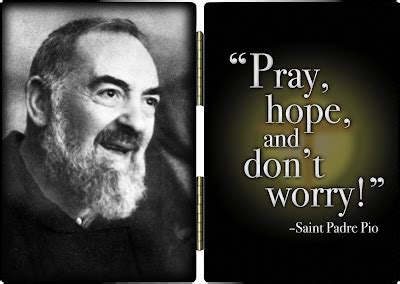 Little Plant of St. Francis: St. Padre Pio Quotes