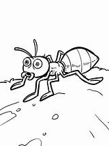 Funny Ant Walking coloring page  Download Print Or Color Online For Free sketch template