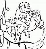 Monkey Coloring Pages For Kids sketch template