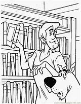 Free library coloring Pages For Kids  Clip Art Library sketch template