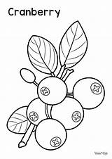 Cranberry Coloring Pages Free Printable PDFs  WakeTheKids sketch template