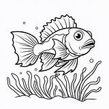 Premium AI Image  Kelp Greenling Illustration Cute Angel Flat coloring sketch template