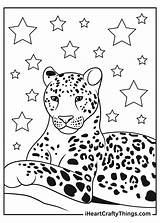Jaguar Coloring Cartoon Drawing Cheetah Pages Baby Easy Kids Animal  sketch template