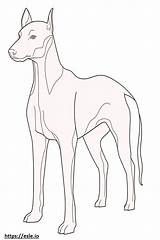Italian Greyhound Full Body coloring Page sketch template
