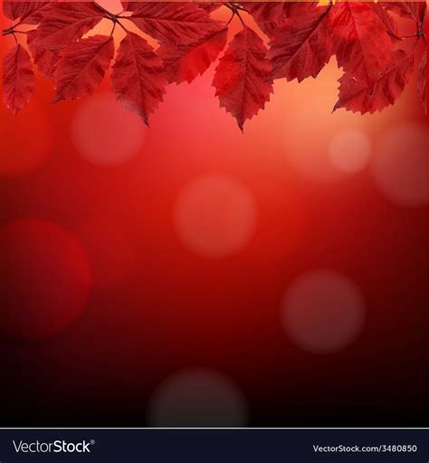 Red autumn background with leaves Royalty Free Vector Image