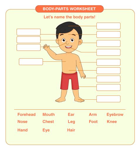 PARTS OF THE BODY-KIDS VOCABULARY | Create WebQuest