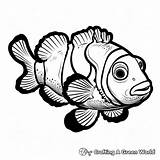 Clownfish Coloring Pages  Free & Printable sketch template