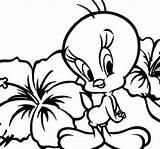 Tweety Coloring Bird Pages Looney Tunes Printable Rainbow Outline  sketch template