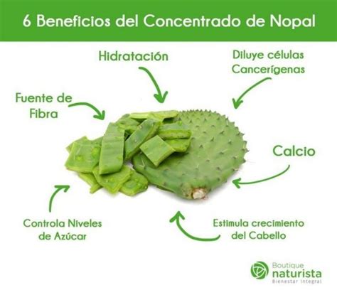 Beneficios del nopal | Beneficios del nopal, Frutas y verduras ...