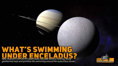 What’s Swimming In Enceladus’ Subsurface Ocean? – Trekzone