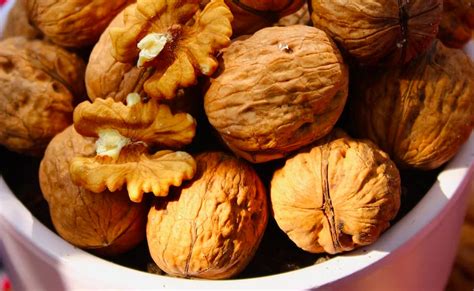 10 Ways Consuming Walnuts In The Morning Can Boost Your Health