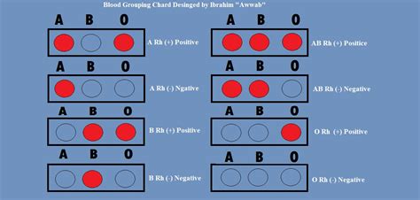 Difference Between O Positive and O Negative | Compare the Difference ...