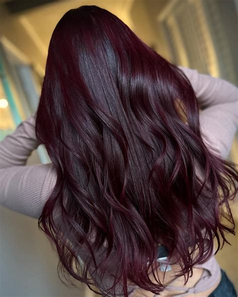 Black Cherry Hair Color + 14 Other Cherry Color Ideas (73 Photos) in 2023 | Brunette hair color ...