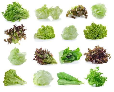 Lettuce and Type 2 Diabetes