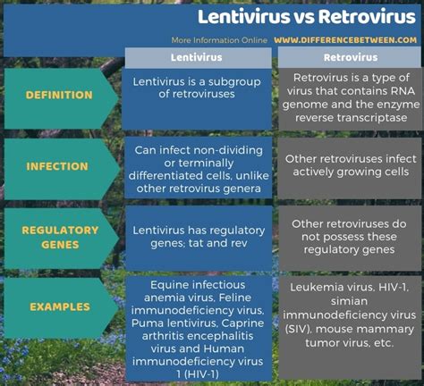 Difference Between Lentivirus and Retrovirus | Compare the Difference ...