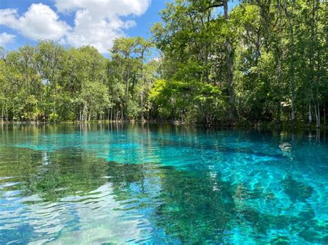 Silver Springs State Park - Crystal Clear Water And... Monkeys!