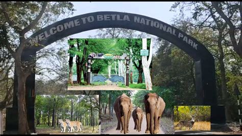 Betla National Park - Wordzz