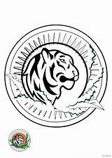 Embroidery Tiger Coloring Page In PDF JPG  Download Templatenet sketch template