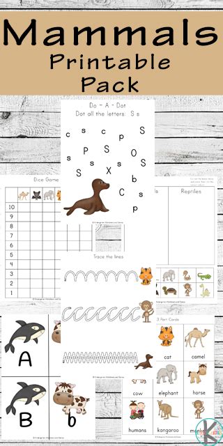 Kindergarten Worksheets and Games: FREE Mammals Worksheets