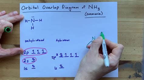 37 draw the orbital diagram for the ion co2+ - Diagram Online Source