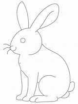 Free Printable Rabbit Tracing coloring Page  Download Print Or Color sketch template