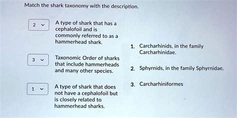 SOLVED: Match the shark taxonomy with the description A type of shark that has cephalofoil and ...