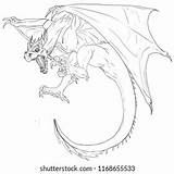 Wyvern Coloring Pages sketch template