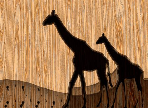 Woodcut 003 - GIRAFFES Free Stock Photo - Public Domain Pictures