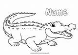 Coloring Page No1751  Crocodile Animal Easy coloring Pages sketch template