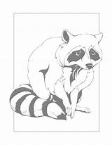 Raccoon Coloring Pages – Printable FREE sketch template