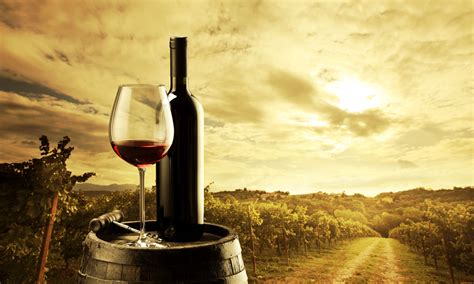 214 Wine Wallpapers | Wine Backgrounds | Wine wallpaper, Red wine, Wine tasting