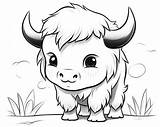 Bison Coloring Pages sketch template