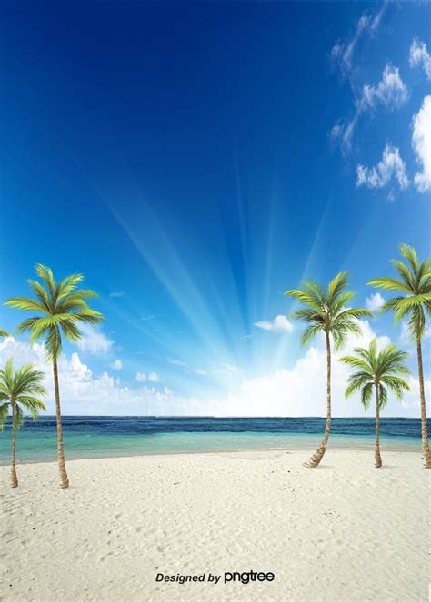 Background Of Fresh Beach In Summer Wallpaper Image For Free Download ...