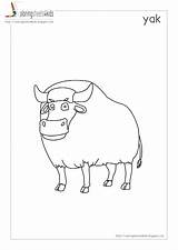 Yak Coloring Pages  Nation sketch template