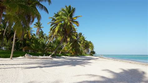 Island in the ocean in the Maldives image - Free stock photo - Public Domain photo - CC0 Images