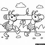 Ant Farm Coloring Page sketch template