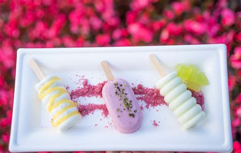 2021 EPCOT Flower & Garden Festival Food Photos, Booth Menus & Reviews - Disney Tourist Blog