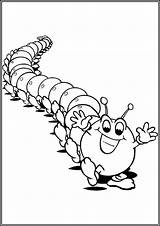 Caterpillar coloring Pages Free printable PDF  TotalColoringCom sketch template