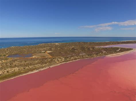 Hutt lagoon (pink lake), Kalbarri, WA : australia