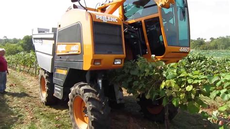 Grape harvesting machine - YouTube