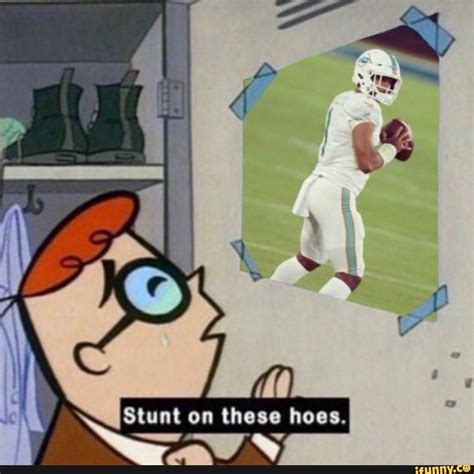 Please : r/miamidolphins