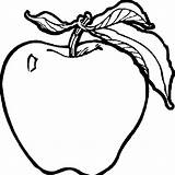Apple Coloring Pages Clipart Drawing Apples Kids Kindergarten Daycare  sketch template
