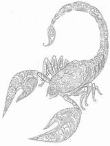 Anti Stress coloring Pages For Adults Free Printable  sketch template