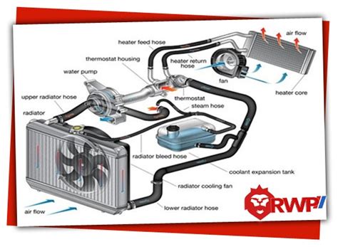 Automotive Thermostat Diagram