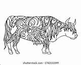 Coloring Book Yak Drawing Animal Hand Drawn Stock Vector Royalty Free  sketch template