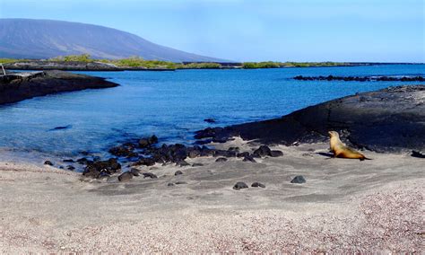 Galapagos Islands Vacation Gives Glimpse of Amazing Wildlife | Magazine ...