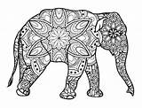 Elephant Mandala coloring Page  Download Print Or Color Online For Free sketch template